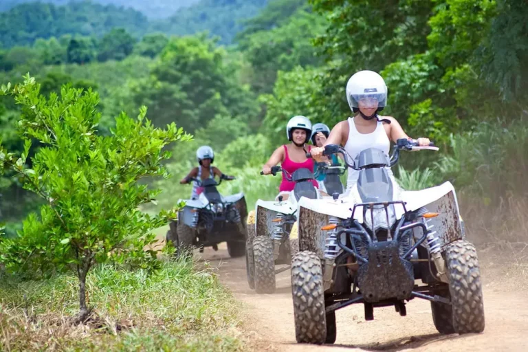 ATV WILD RIDE_result_result