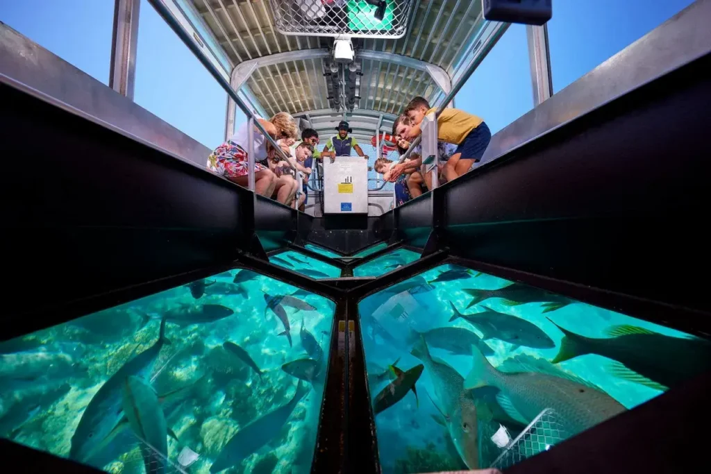 roatan glassbottom boat