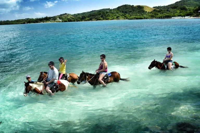 Roatan-Horseback-Riding-Beach-Club-Roatan_result