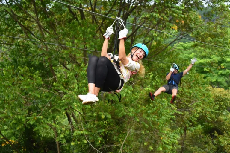 Zipline Experience_result