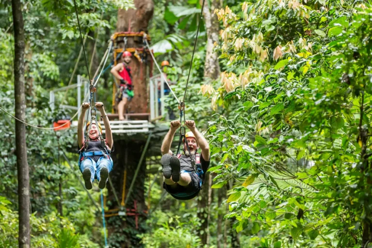 Zipline leap_result