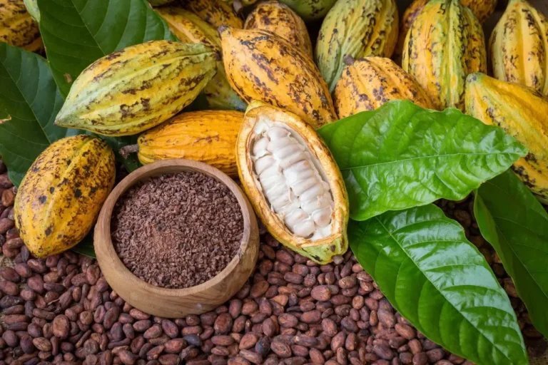 cocoa-pods_result_result