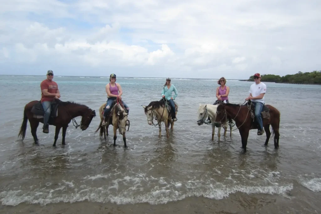 El rancho barrio dorcas horse
