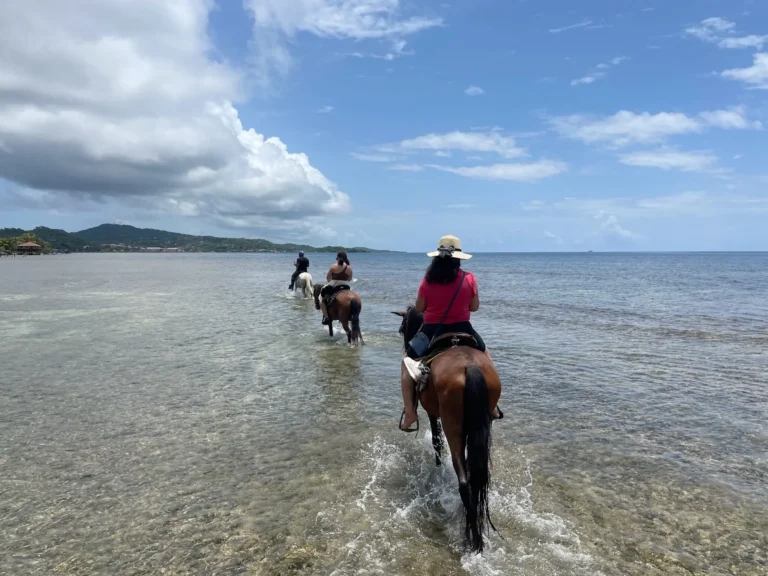 horse back riding in water_result