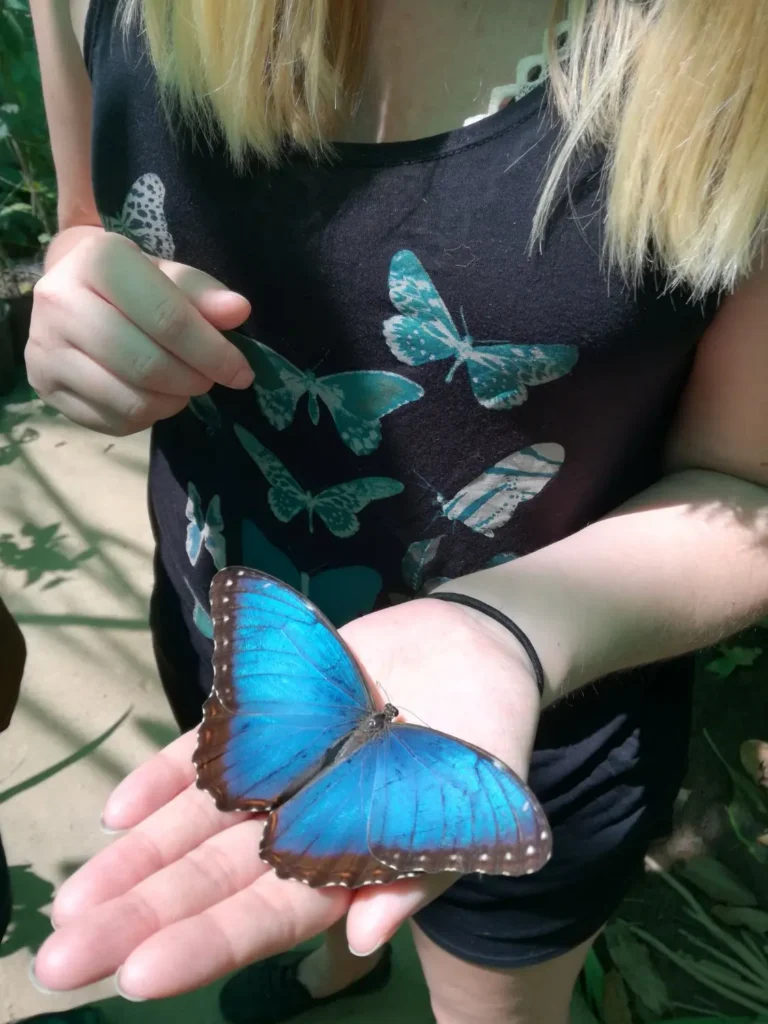 Roatan botanical garden