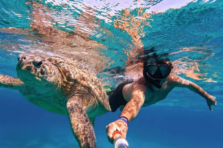 snorkel_7_lg_result