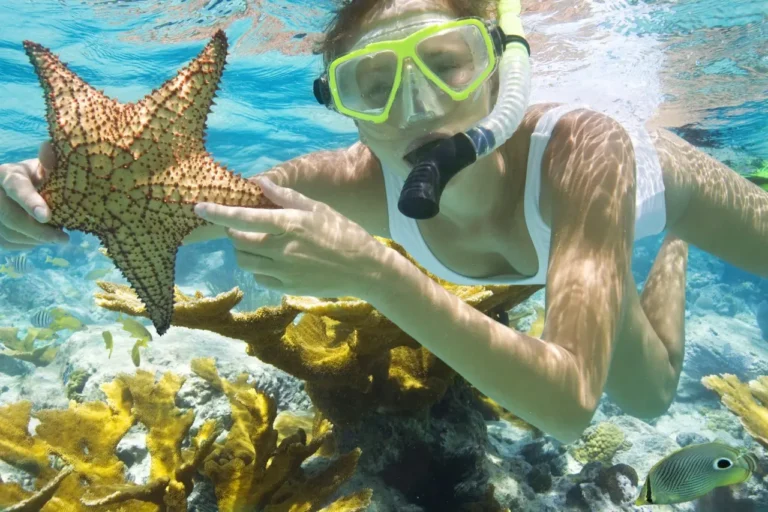 snorkel_result