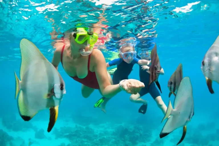 snorkeling2_result