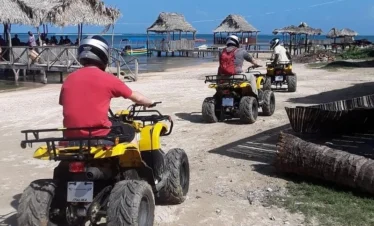 ATV (3) result