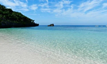 Beach (37) result