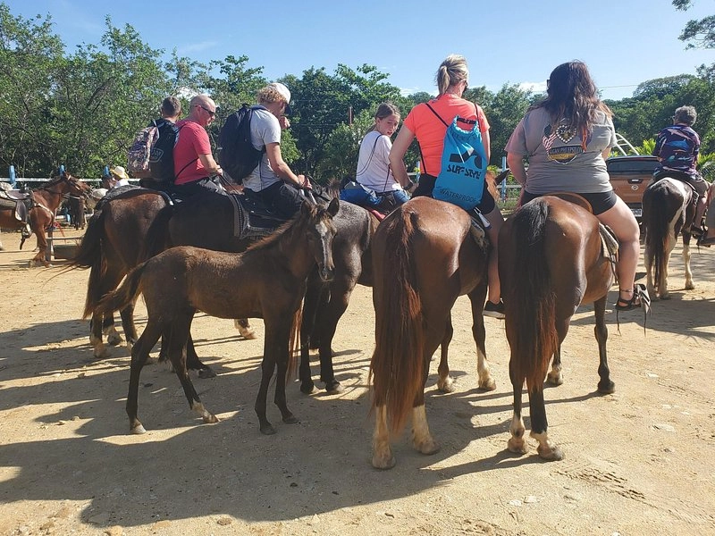 Horse back (1) result