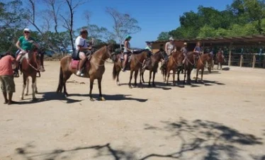 Horse back (9) result