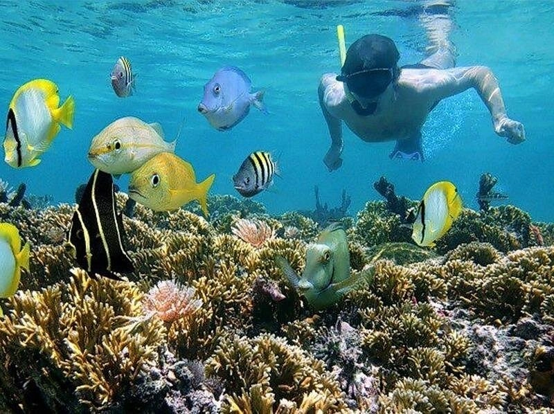 snorkeling