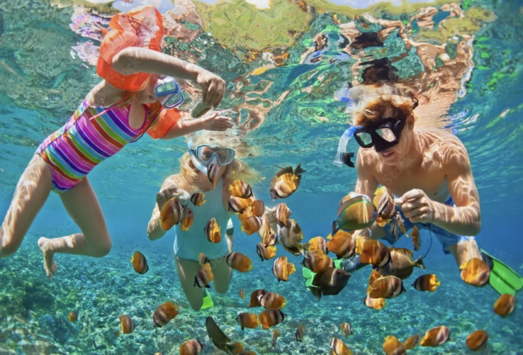 Agregar esta foto como portada del paquete de snorkeling result