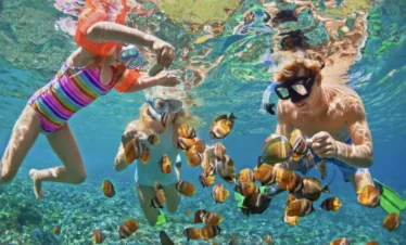 Agregar esta foto como portada del paquete de snorkeling result