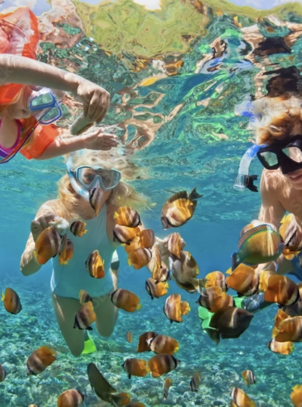 Agregar esta foto como portada del paquete de snorkeling result