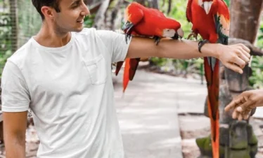 man holding macaws